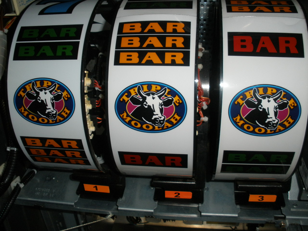 IGT TRIPLE DOUBLE MOOLAH S2000 Slot Machine For Sale • Gambler's Oasis USA